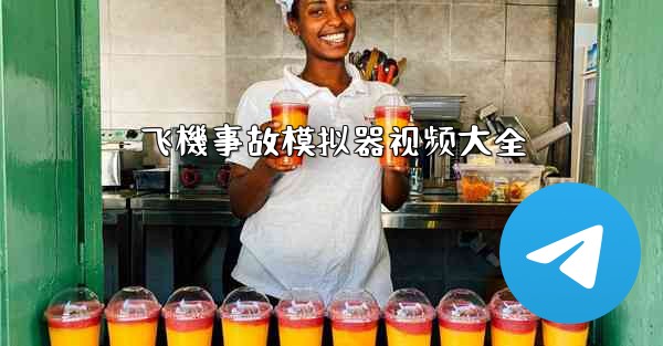 飞機事故模拟器视频大全