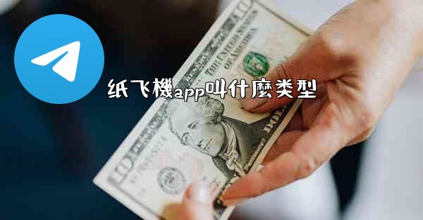 纸飞機app叫什麼类型