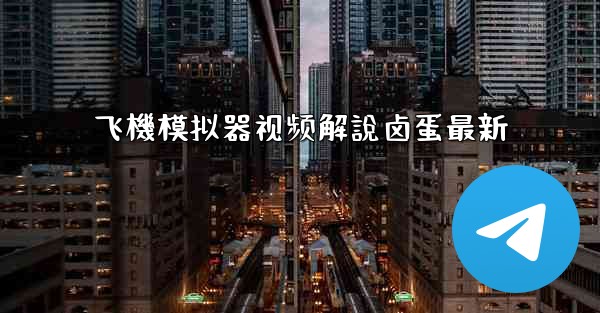 飞機模拟器视频解說卤蛋最新