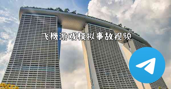 飞機游戏模拟事故视频