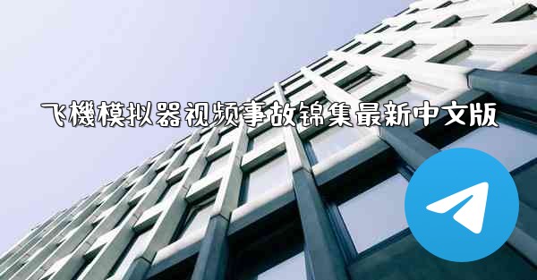 飞機模拟器视频事故锦集最新中文版