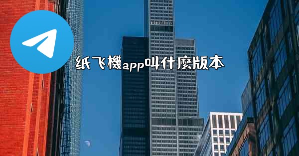 纸飞機app叫什麼版本