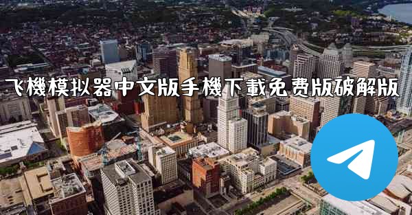 飞機模拟器中文版手機下載免费版破解版