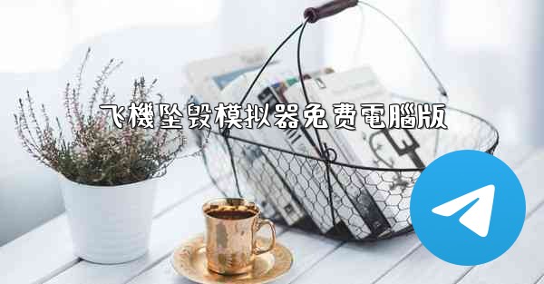 飞機坠毁模拟器免费電腦版