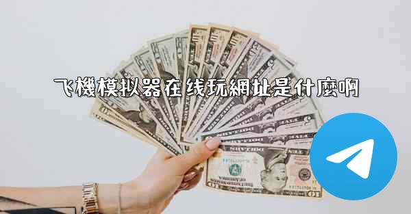 飞機模拟器在线玩網址是什麼啊