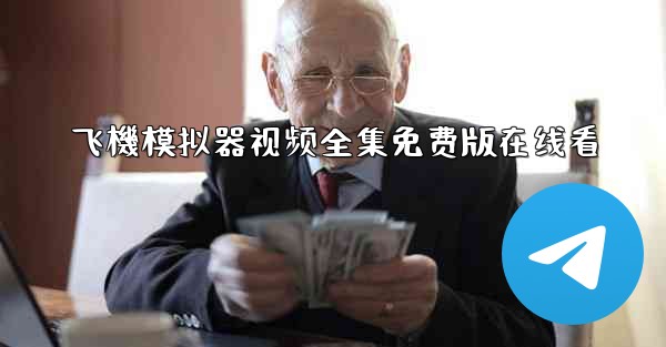 飞機模拟器视频全集免费版在线看
