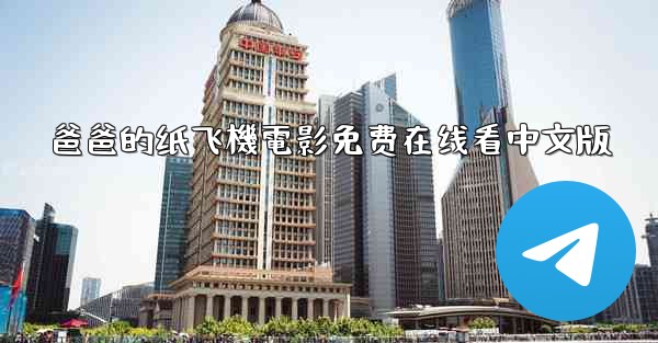 爸爸的纸飞機電影免费在线看中文版