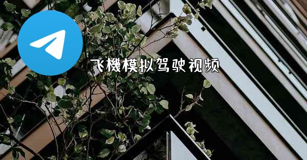 飞機模拟驾驶视频