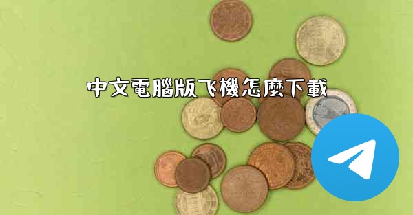 中文電腦版飞機怎麼下載