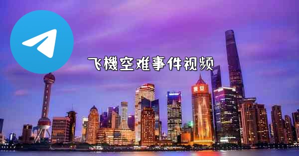 飞機空难事件视频