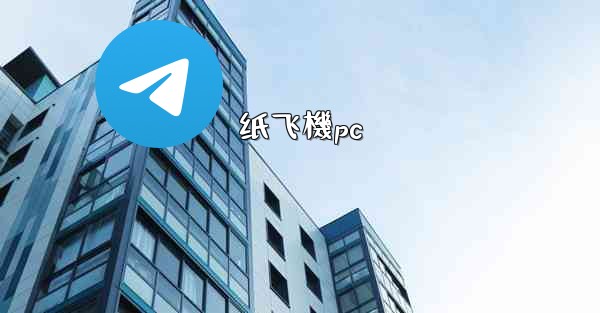 纸飞機pc
