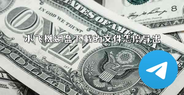 小飞機網盘下載的文件怎麼导出