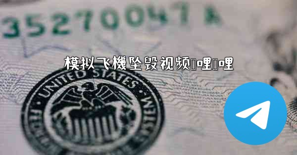 模拟飞機坠毁视频哔哩哔哩