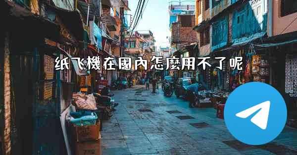 纸飞機在國內怎麼用不了呢