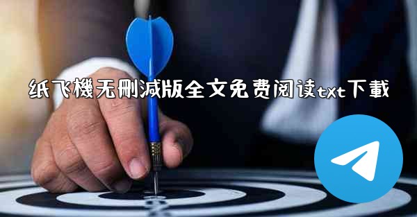 纸飞機无刪減版全文免费阅读txt下載