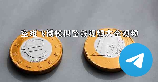 空难飞機模拟坠毁视频大全视频