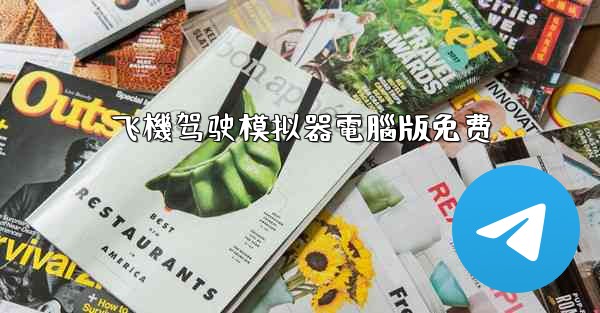 飞機驾驶模拟器電腦版免费