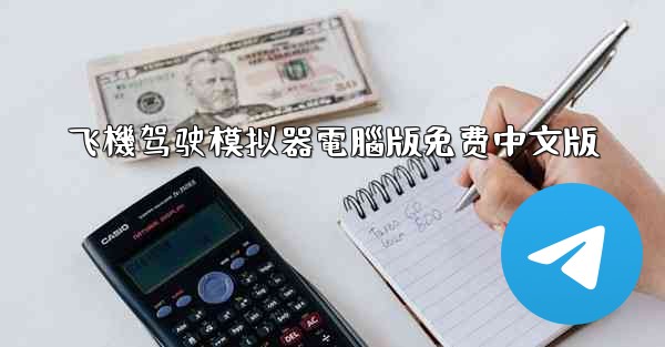 飞機驾驶模拟器電腦版免费中文版