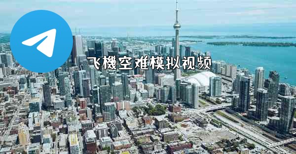 飞機空难模拟视频