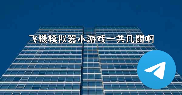 飞機模拟器小游戏一共几關啊