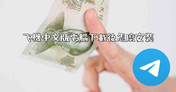 飞機中文版電腦下載後怎麼安裝