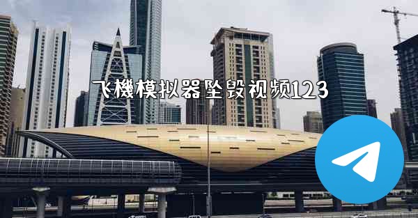 飞機模拟器坠毁视频123