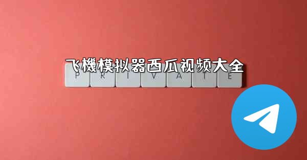 飞機模拟器西瓜视频大全