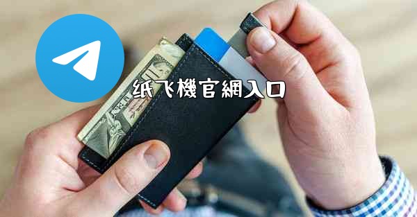 纸飞機官網入口