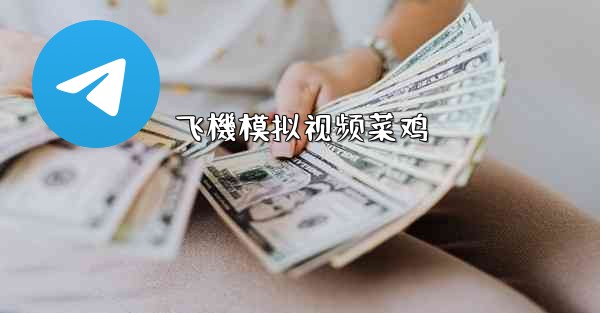 飞機模拟视频菜鸡