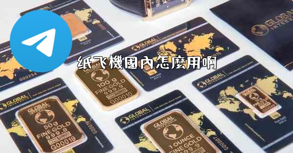 纸飞機國內怎麼用啊