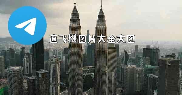 直飞機图片大全大图