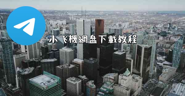 小飞機網盘下載教程