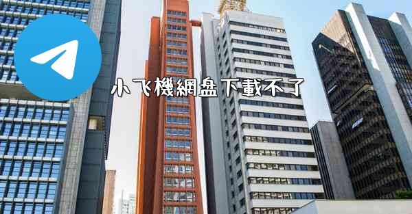小飞機網盘下載不了