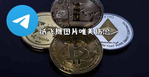 纸飞機图片唯美伤感