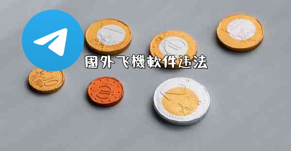 國外飞機軟件违法