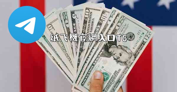 纸飞機官網入口TG