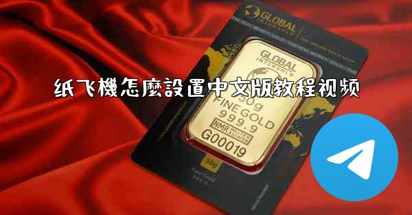 纸飞機怎麼設置中文版教程视频
