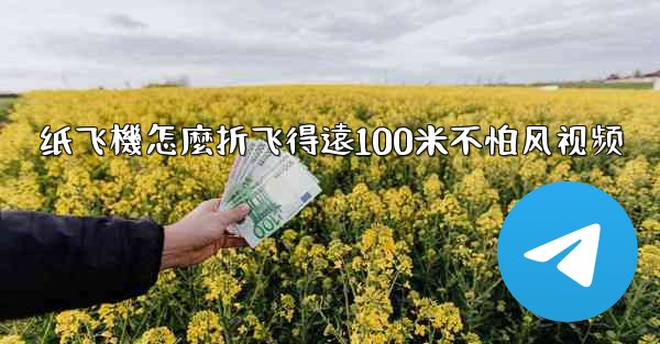 纸飞機怎麼折飞得遠100米不怕风视频