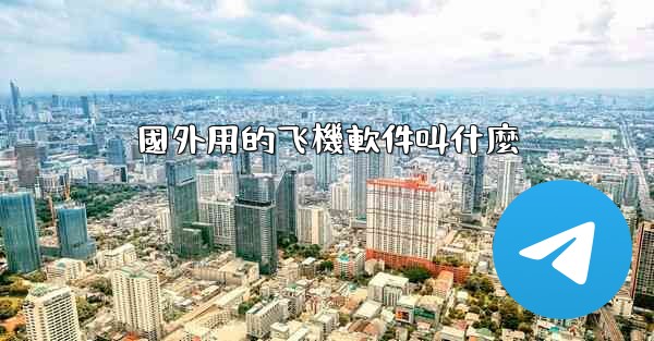 國外用的飞機軟件叫什麼