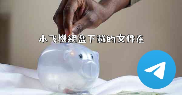 小飞機網盘下載的文件在