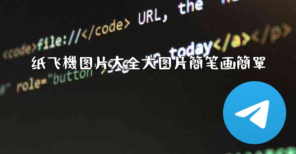 纸飞機图片大全大图片簡笔画簡單