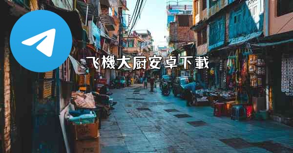飞機大厨安卓下載