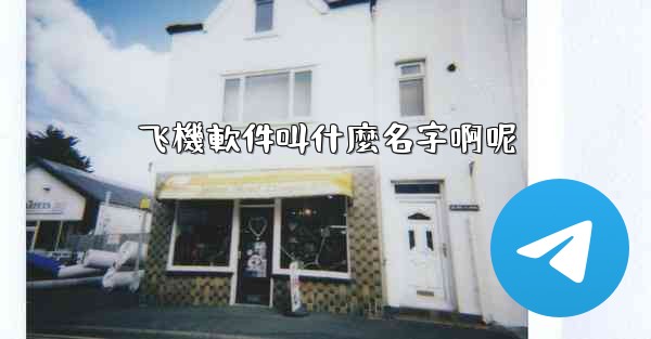 飞機軟件叫什麼名字啊呢