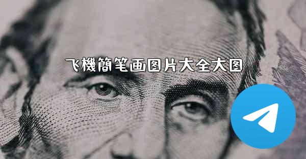 飞機簡笔画图片大全大图