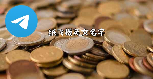 纸飞機英文名字