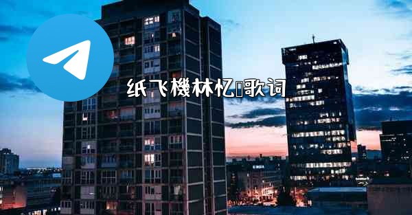 纸飞機林忆莲歌词