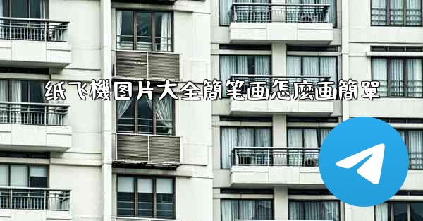 <b>纸飞機图片大全簡笔画怎麼画簡單</b>