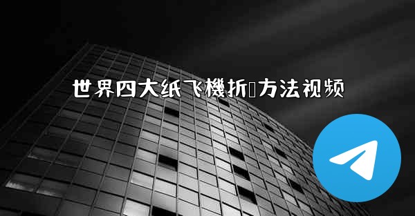 世界四大纸飞機折叠方法视频