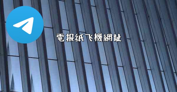 電报纸飞機網址