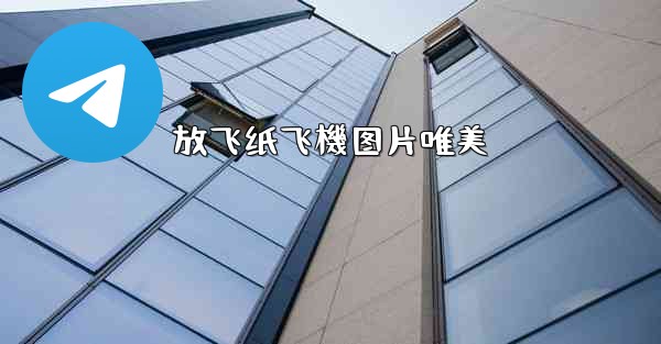 放飞纸飞機图片唯美